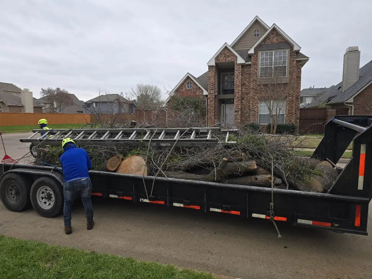 Expert Tree Removal with proper safety equipment in Spring Arbor